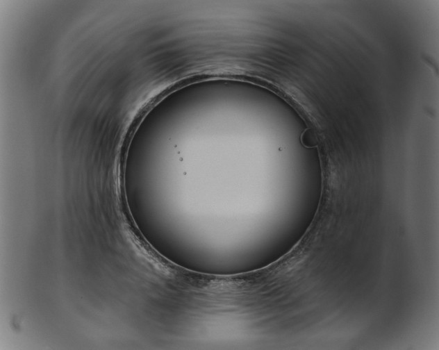 X0000103460840200809121601
