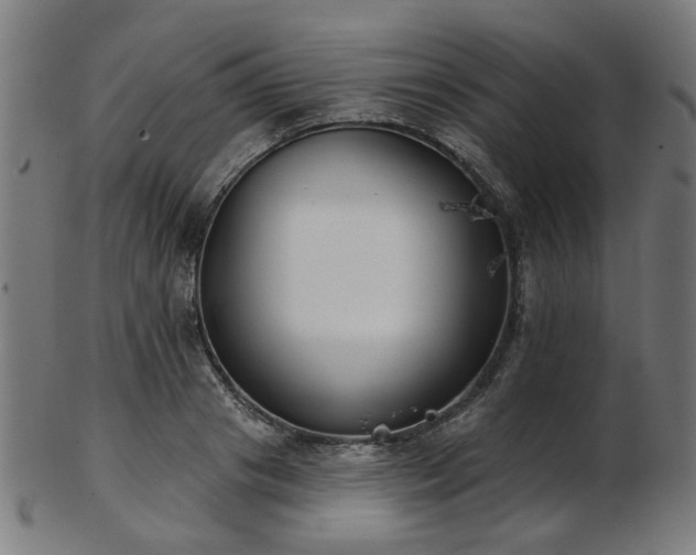 X0000103460841200809121602