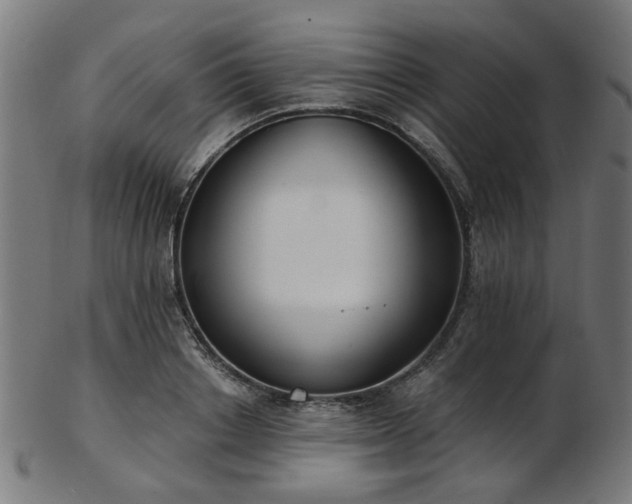 X0000103460842200809121602