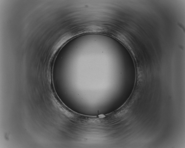 X0000103460843200809121602