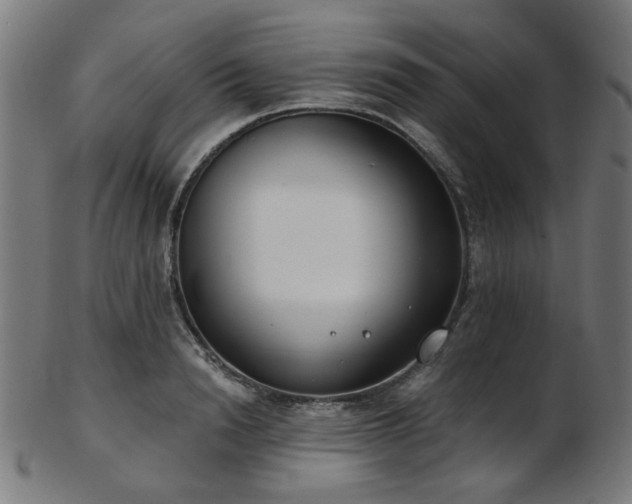 X0000103460846200809121602