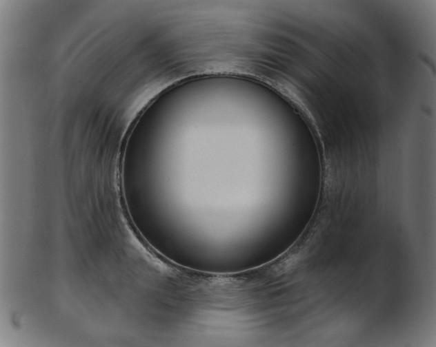 X0000103460847200809121602