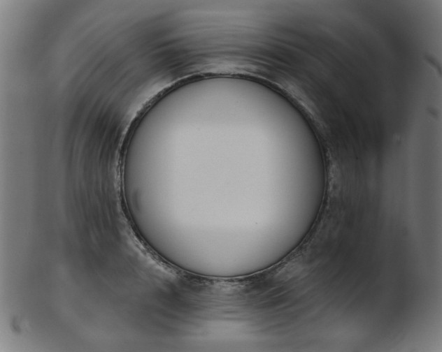 X0000103460848200809121602