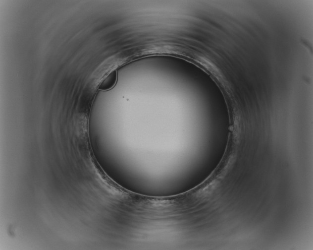 X0000103460849200809121602
