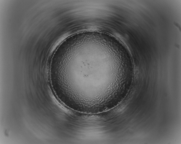 X0000103460851200809121602