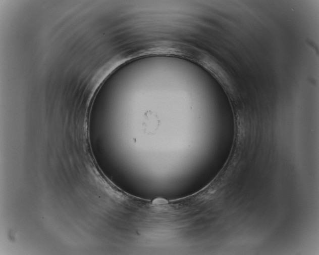 X0000103460852200809121602