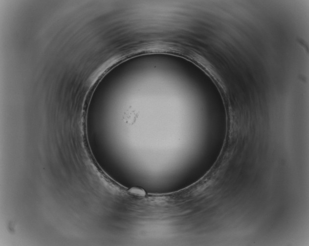 X0000103460853200809121602