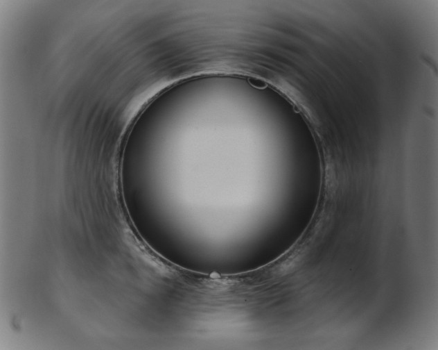 X0000103460854200809121602