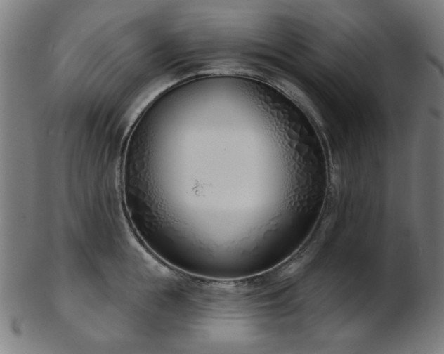 X0000103460855200809121602