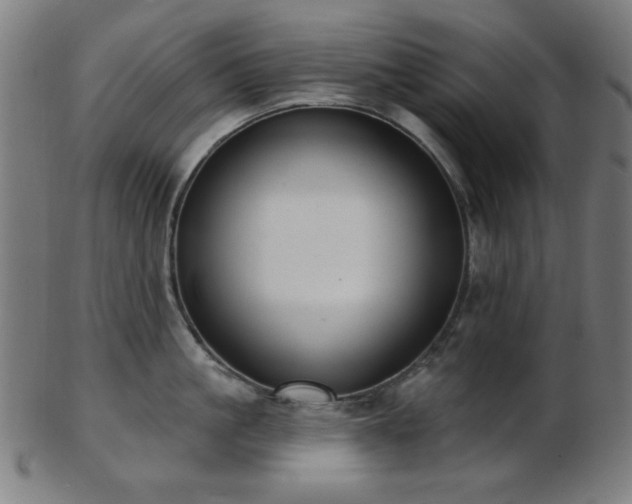 X0000103460861200809121602