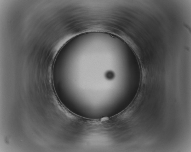 X0000103460862200809121602