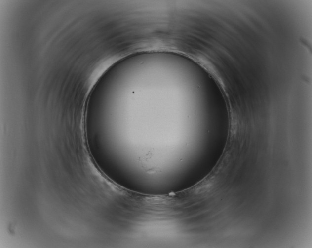 X0000103460863200809121602