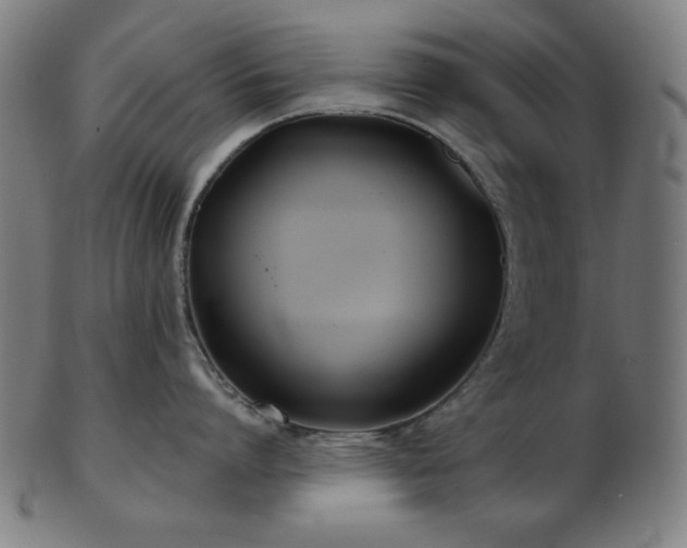 X0000103460864200809121602