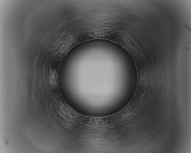 X0000103460866200809121601