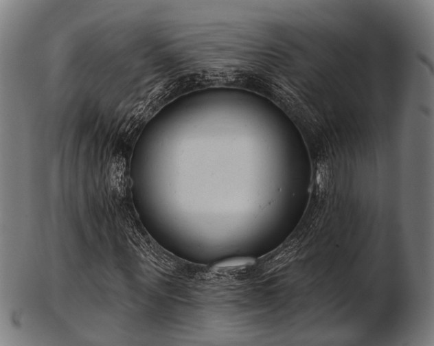 X0000103460867200809121601