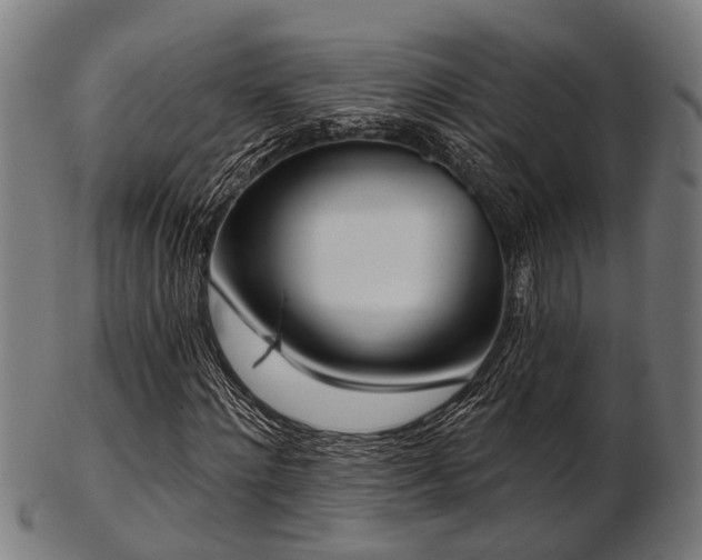 X0000103460868200809121601