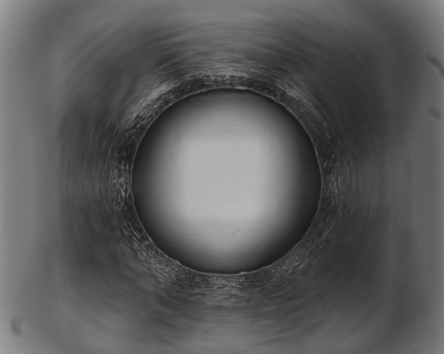 X0000103460870200809121601