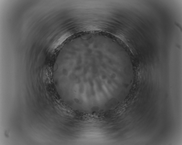 X0000103460871200809121601