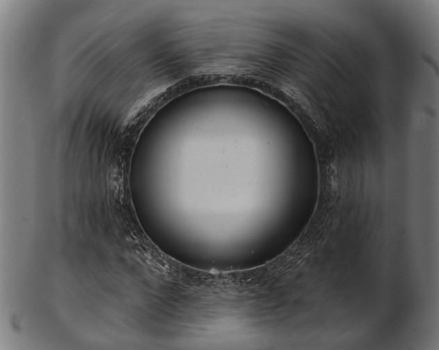 X0000103460872200809121601