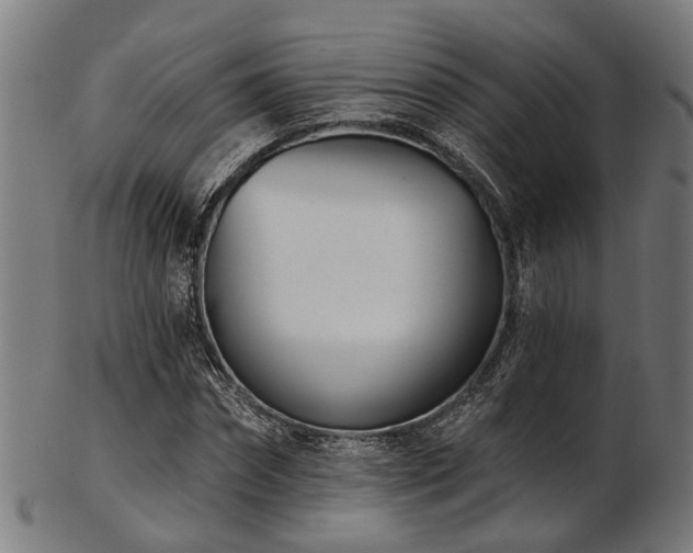 X0000103460874200809121601