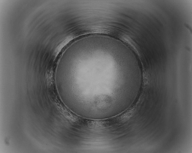 X0000103460875200809121601