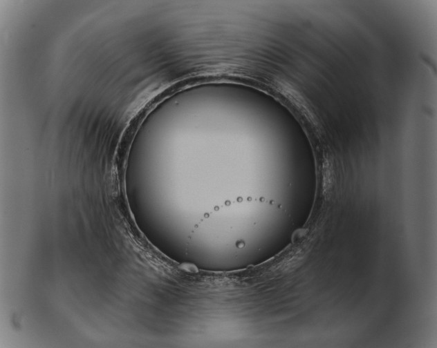 X0000103460876200809121601