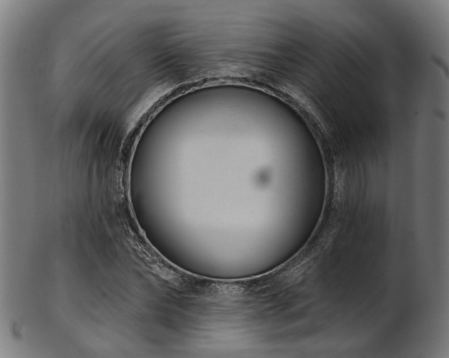X0000103460878200809121601