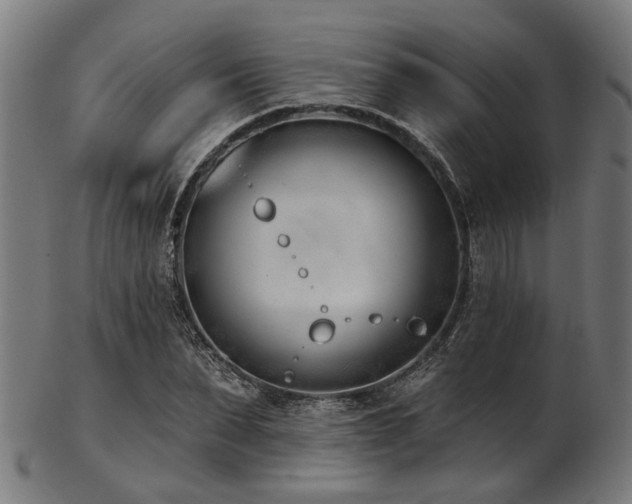 X0000103460879200809121601