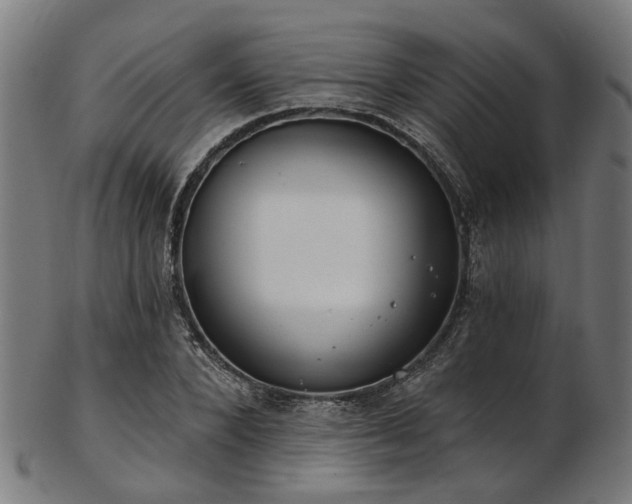 X0000103460880200809121601