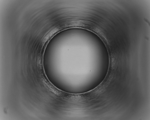 X0000103460882200809121601