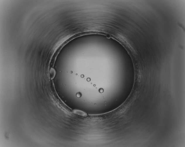 X0000103460884200809121601