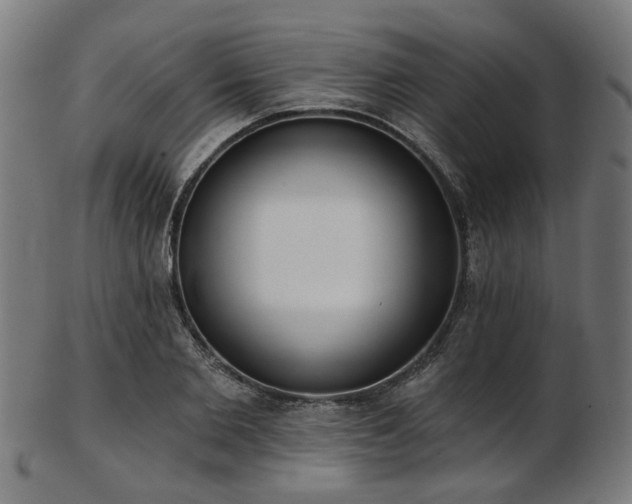X0000103460885200809121601