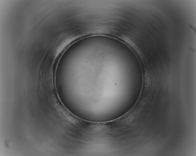 X0000103460886200809121601