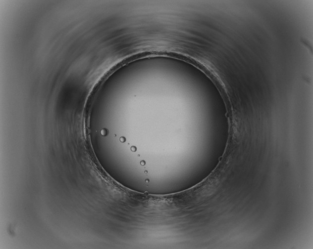 X0000103460887200809121601