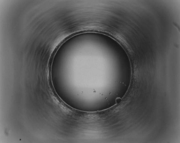 X0000103460888200809121601