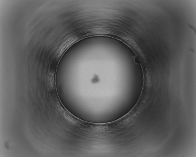 X0000103460889200809121601