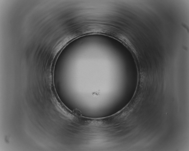 X0000103460890200809121601