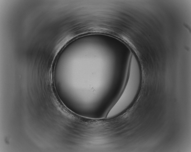 X0000103460891200809121601