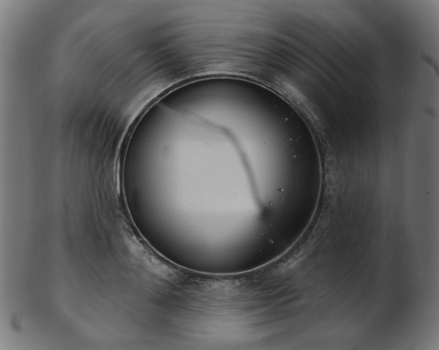 X0000103460892200809121601