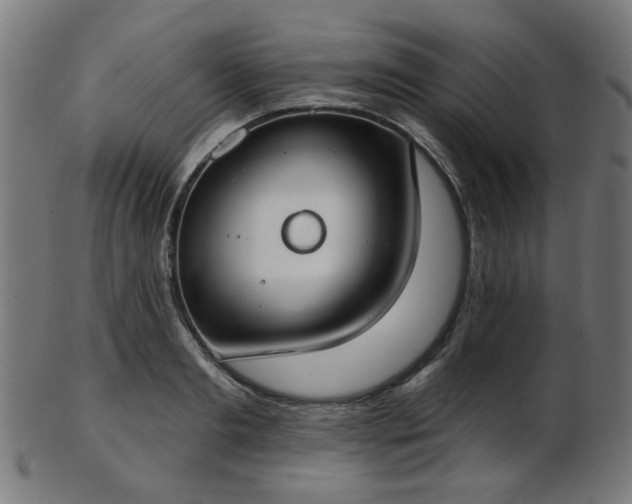 X0000103460893200809121601