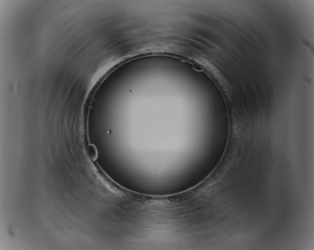 X0000103460894200809121601