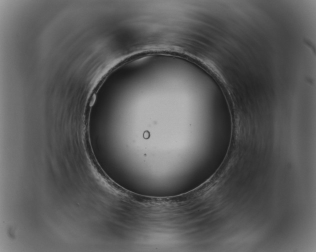X0000103460895200809121601
