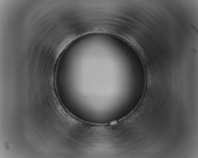 X0000103460896200809121601