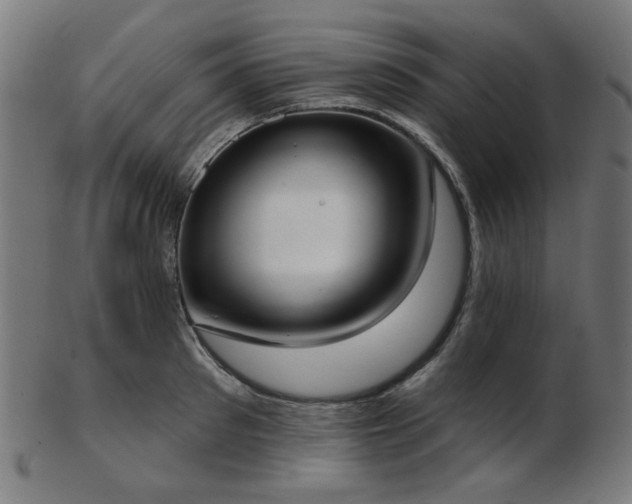 X0000103460897200809121601