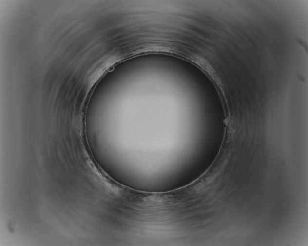 X0000103460898200809121601