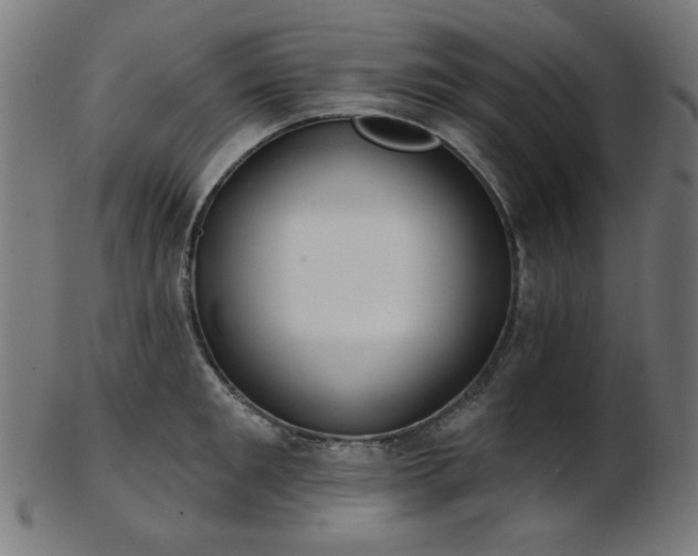 X0000103460901200809121601