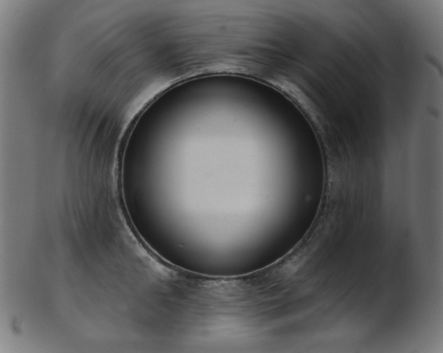 X0000103460902200809121601