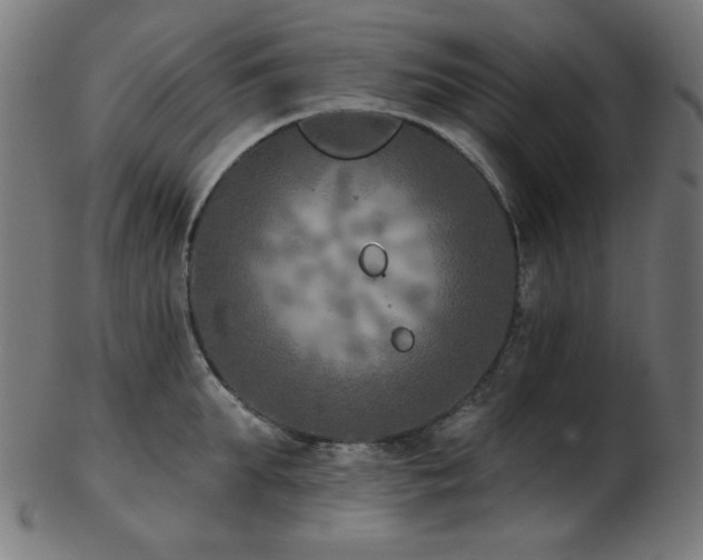 X0000103460903200809121601