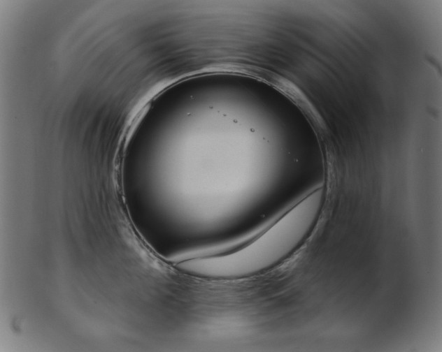 X0000103460908200809121600