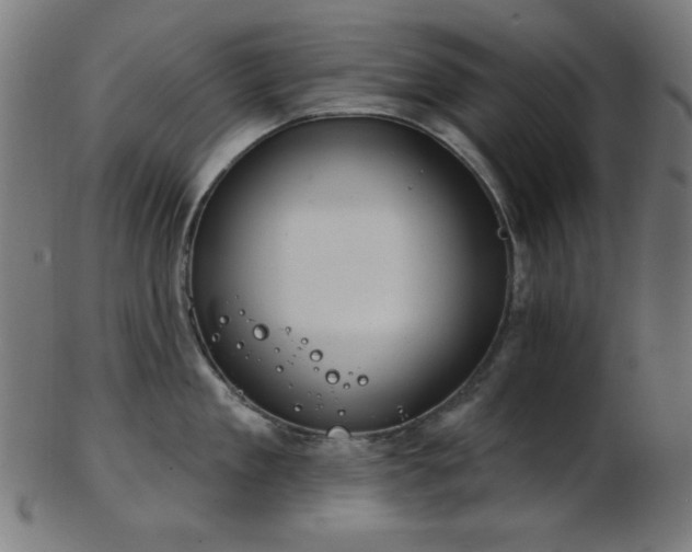 X0000103460909200809121600